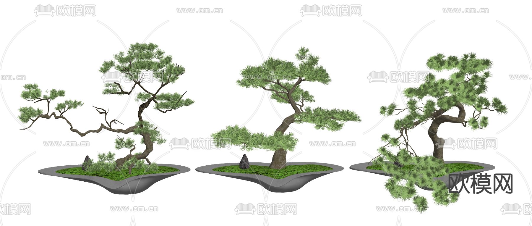 罗汉松 松树 盆景 盆栽su模型