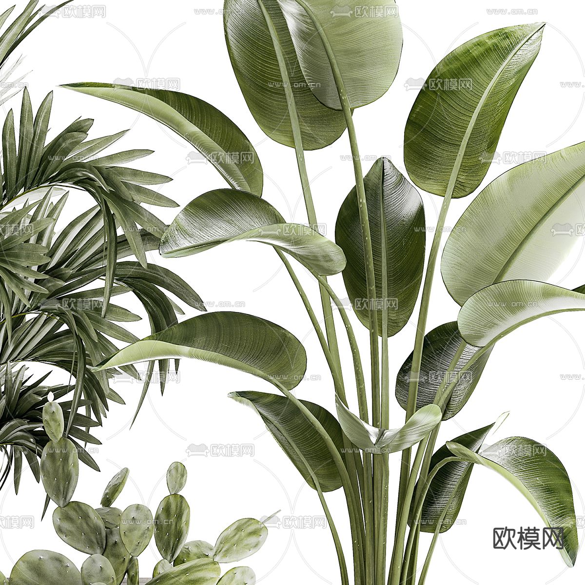 盆栽 盆景 绿植3d模型下载（渲染图2）