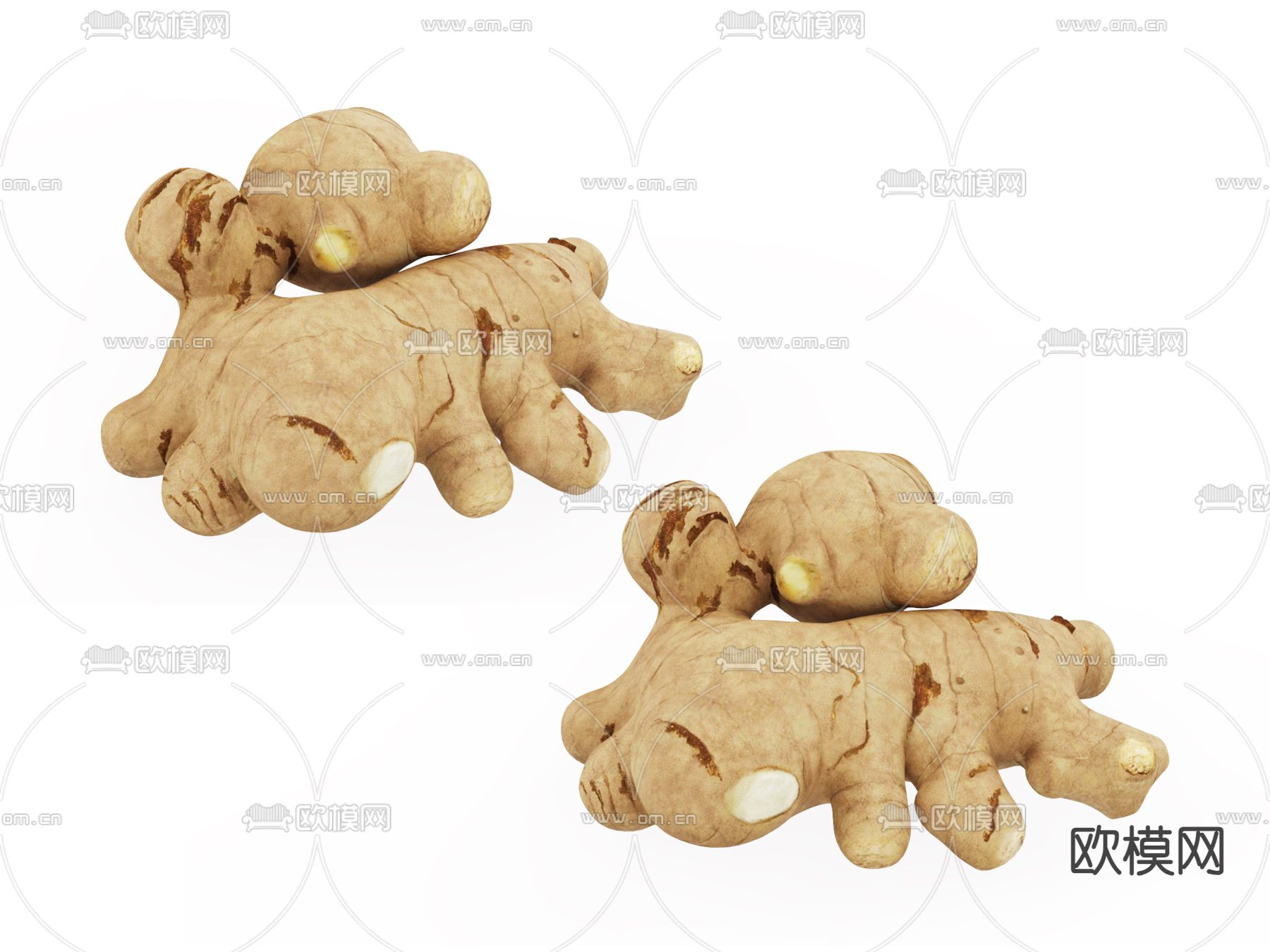 生姜3d模型下载