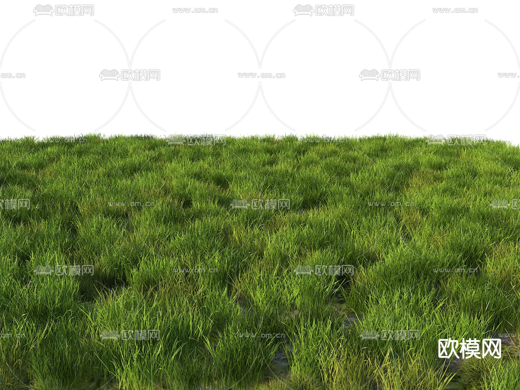 野草地 草皮 杂草3d模型下载