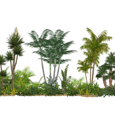  椰子树 棕榈树su模型 