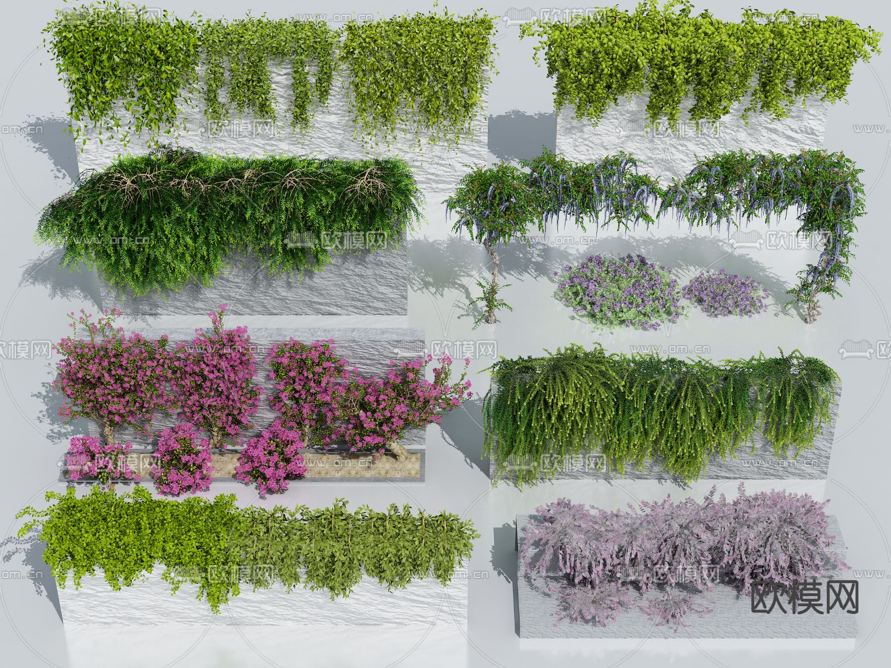 藤蔓 爬藤 爬山虎 蔷薇 常青藤3d模型下载