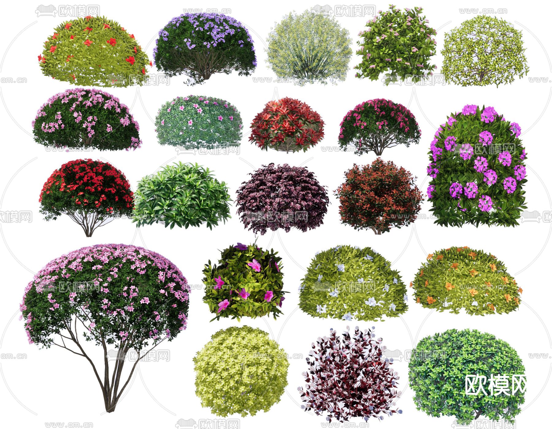 灌木球 造型灌木 绿篱丛3d模型下载