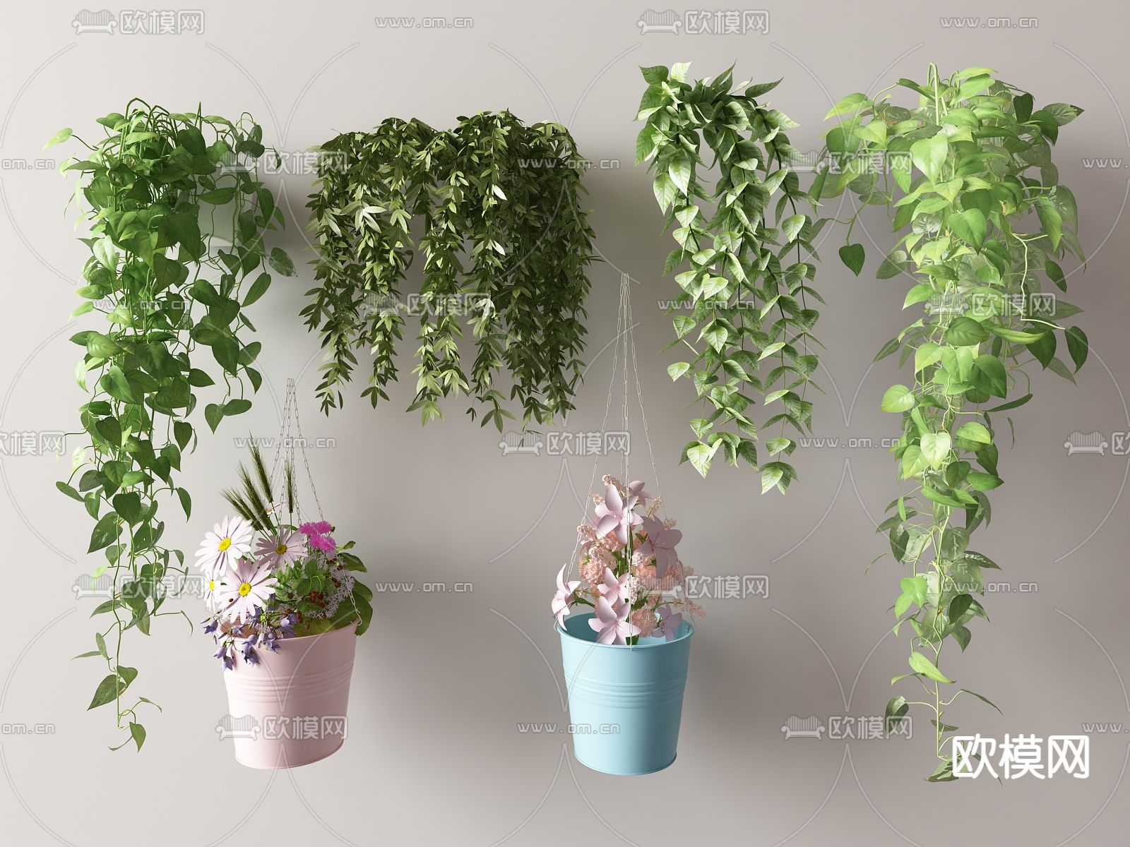 藤蔓 爬藤 吊篮 绿萝3d模型下载