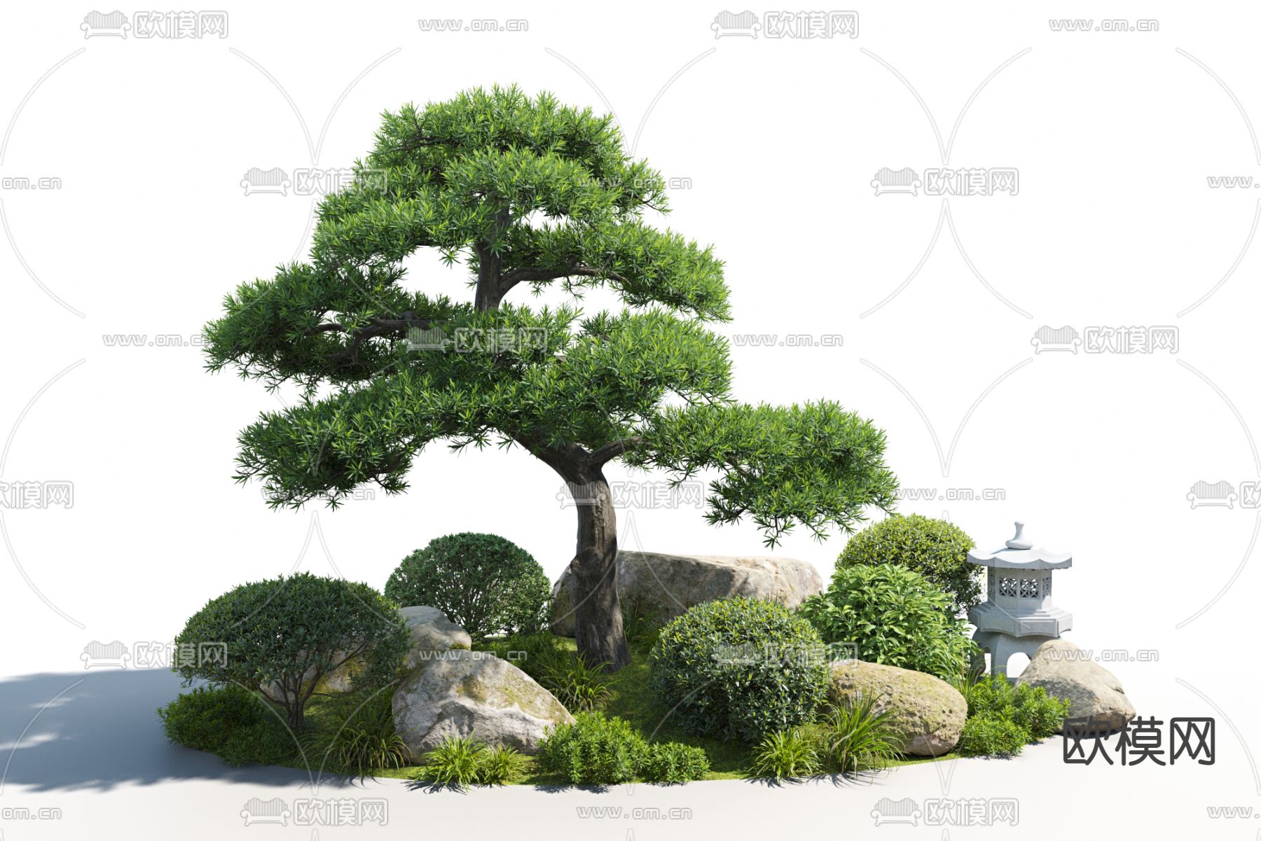 中式松树 植物堆su模型下载