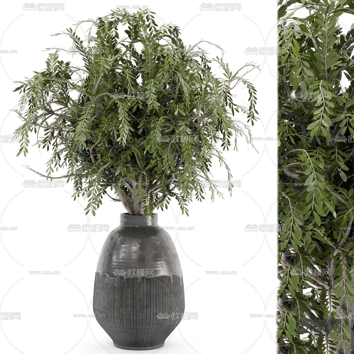 花瓶 花艺 绿植水培免费3d模型下载