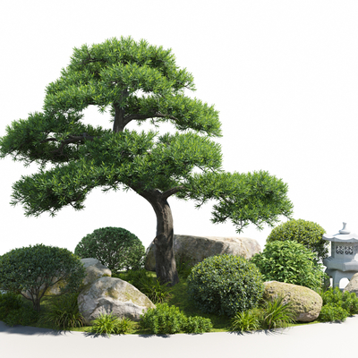 中式松树 植物堆su模型 