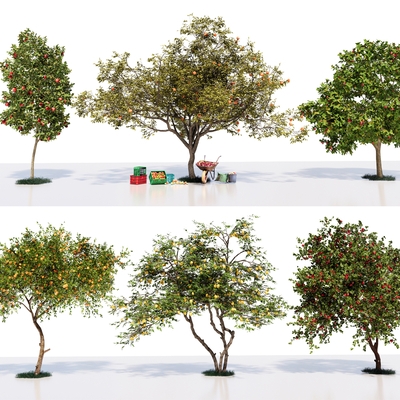  果树 景观树 乔木su模型 