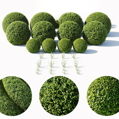  灌木绿篱su模型 