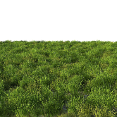  野草地 草皮 杂草su模型 