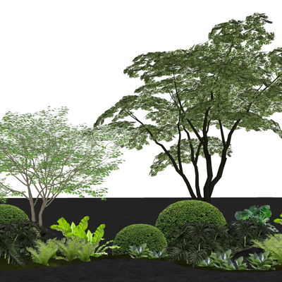  景观树 灌木球su模型 