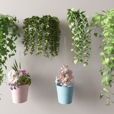  现代藤蔓 爬藤 吊篮 绿萝su模型 