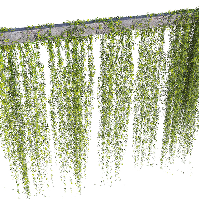  现代垂挂植物 藤蔓su模型 