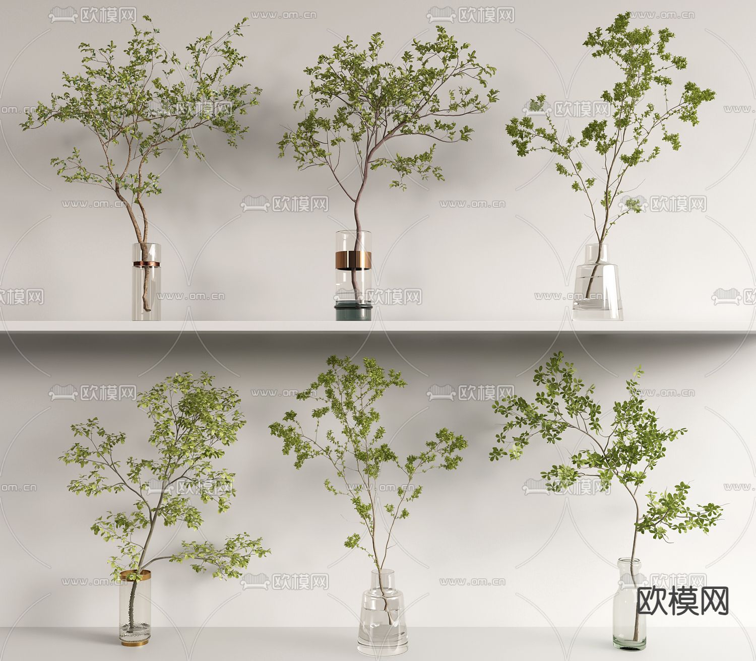 水生植物 水培绿植3d模型下载