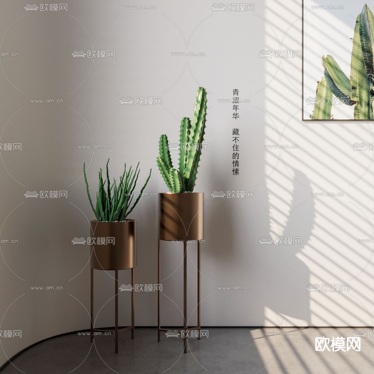 仙人掌盆栽 盆景3d模型下载