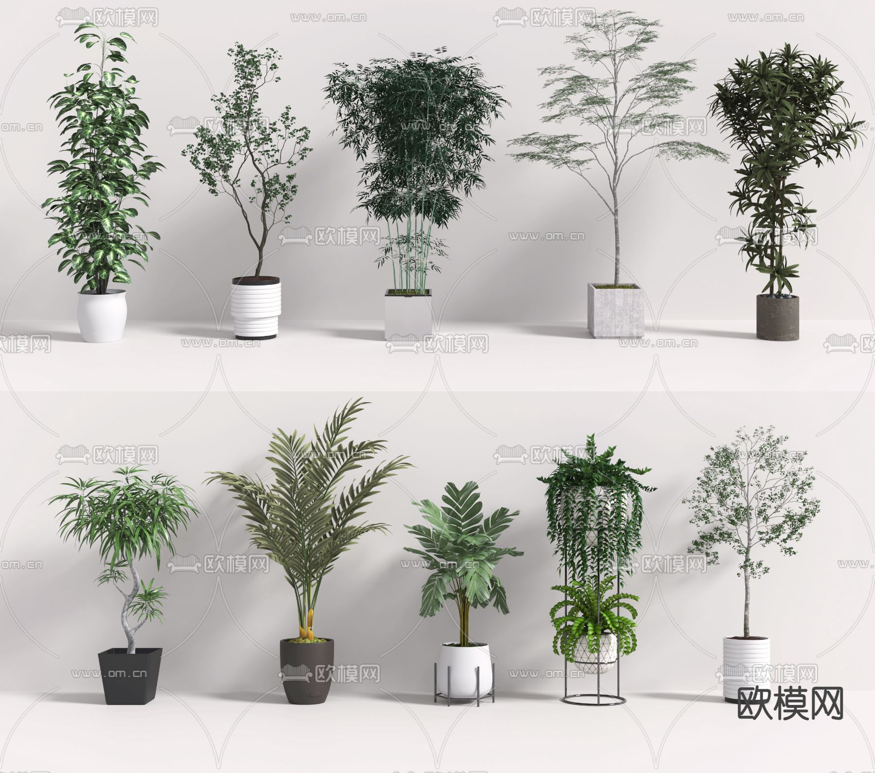 绿植盆栽 盆景3d模型下载