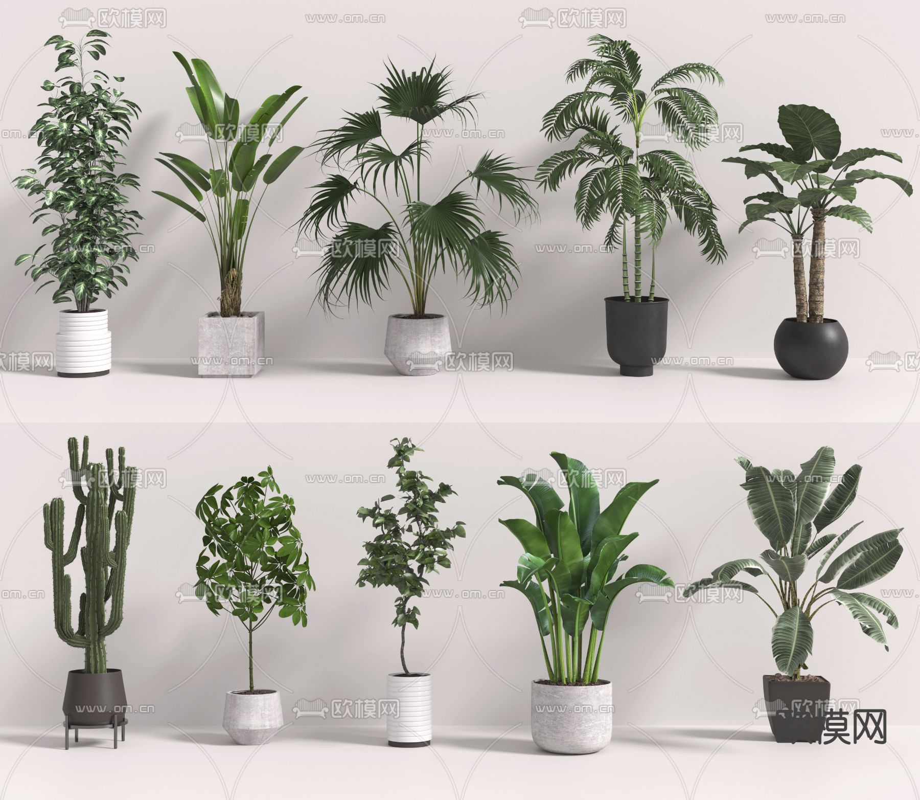 绿植盆栽 盆景3d模型下载