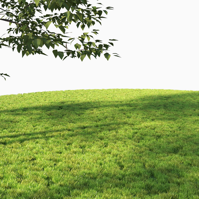  野草地 草皮 草坪su模型 