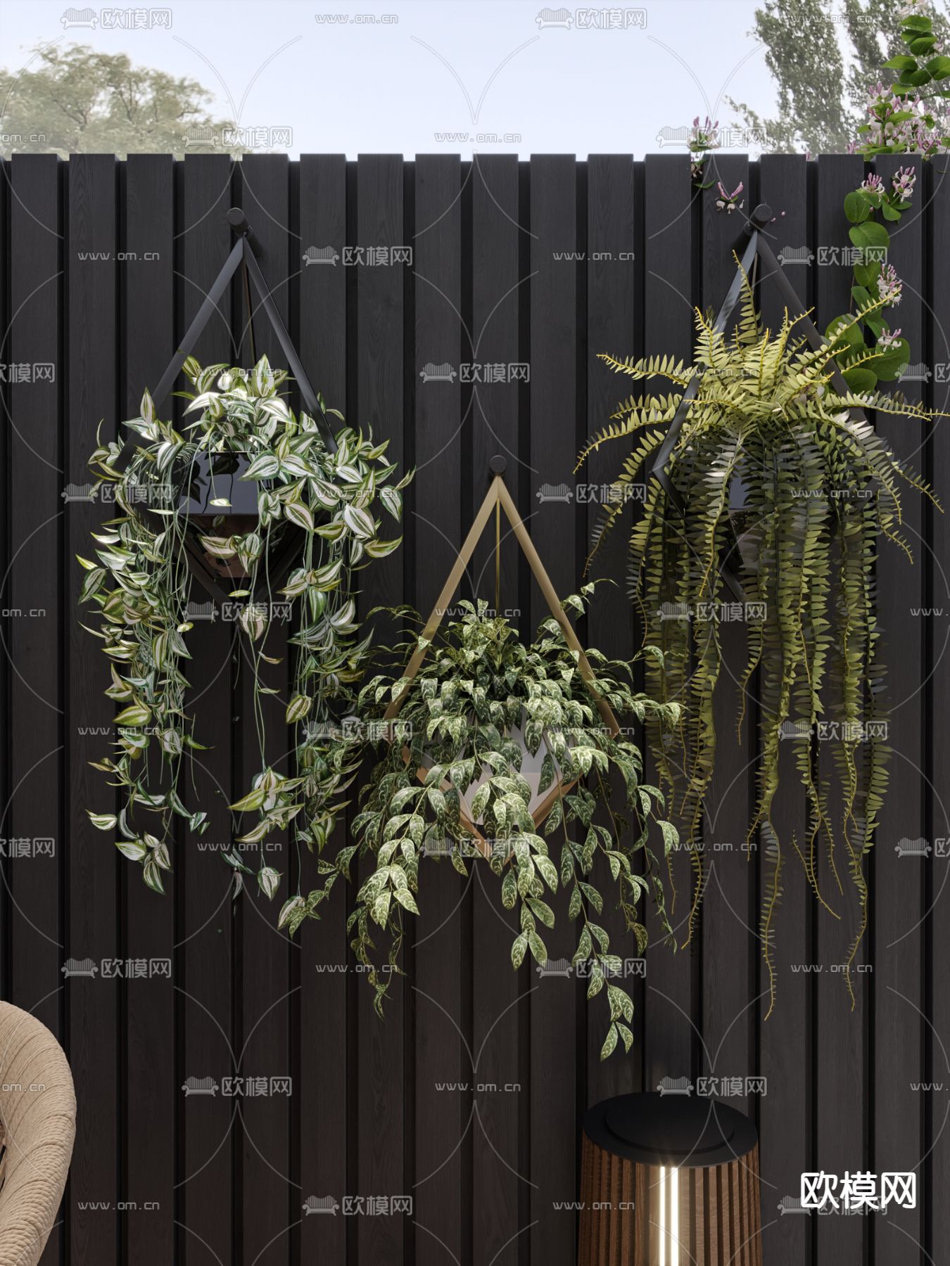 吊兰 吊篮 盆栽 装饰绿植3d模型下载