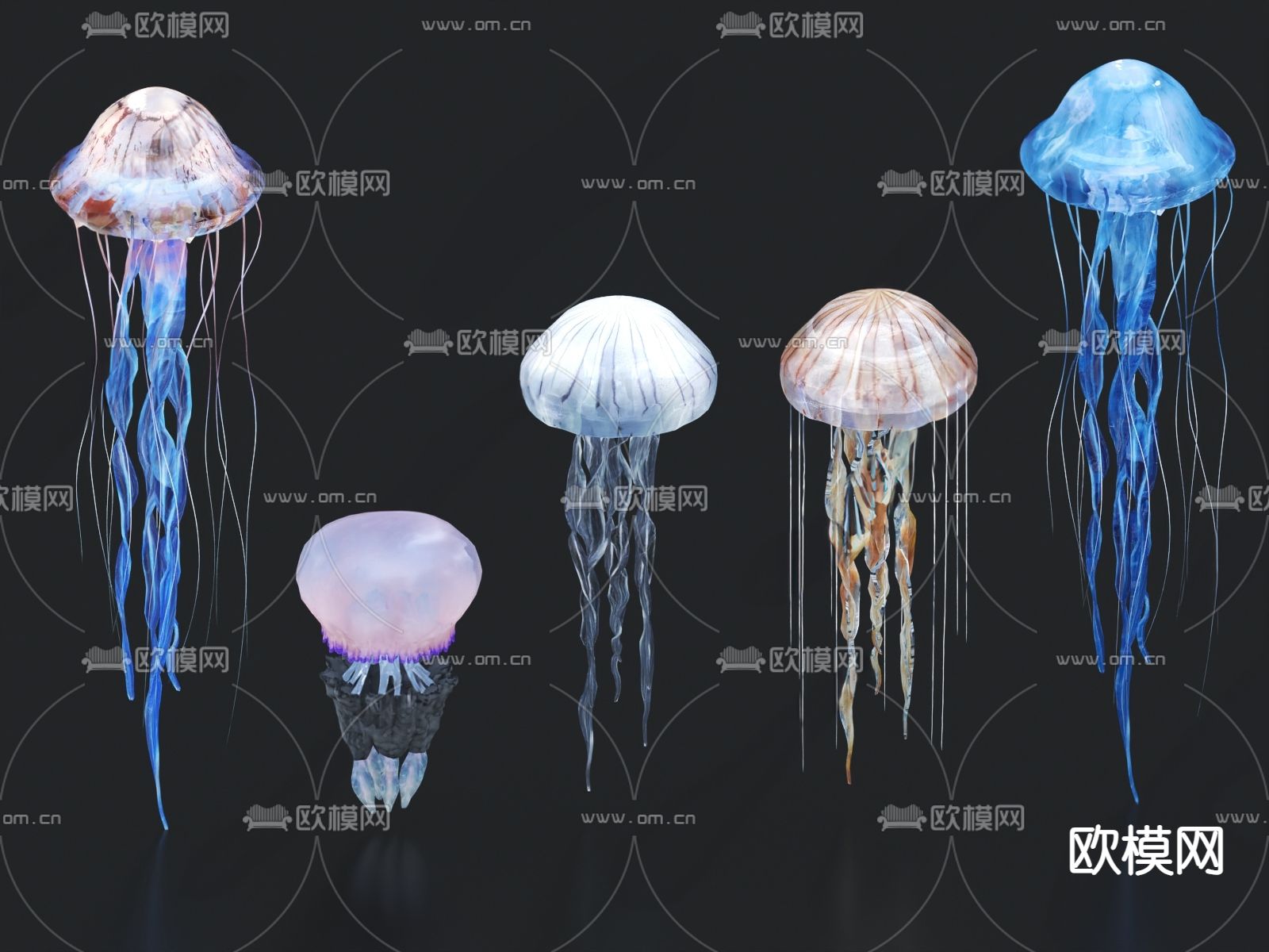 水母 发光水母 海洋生物su模型下载（渲染图2）