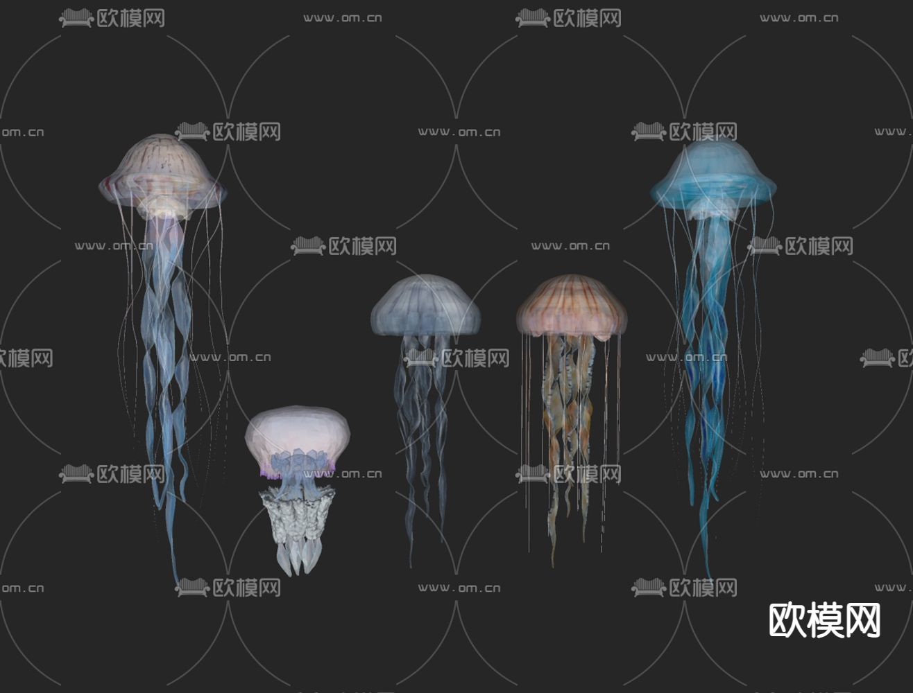 水母 发光水母 海洋生物su模型下载（渲染图1）