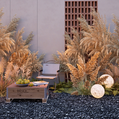  芦苇 穗 花草 狼尾草 植物堆su模型 