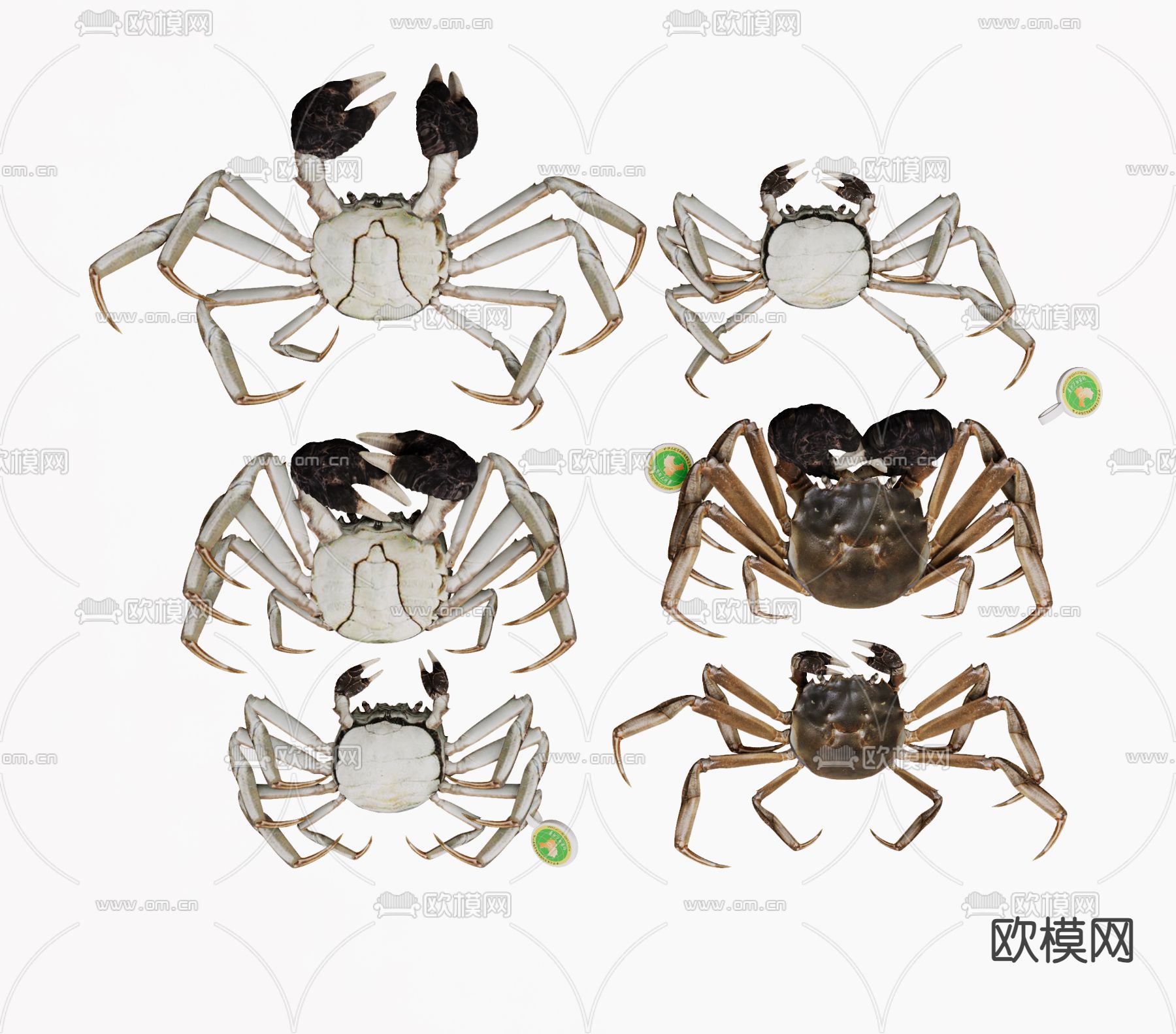 海鲜大闸蟹su模型下载（渲染图2）