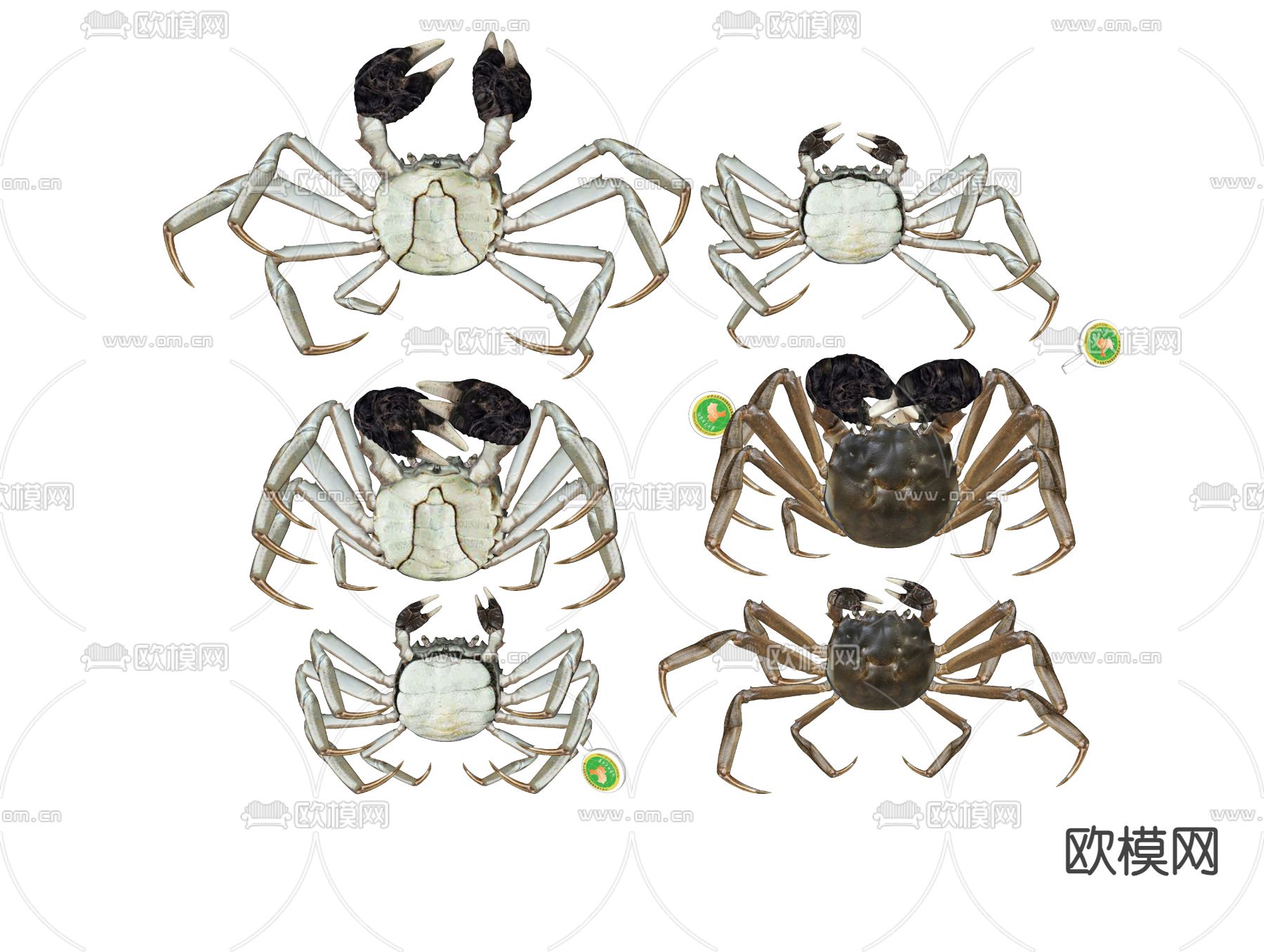 海鲜大闸蟹su模型下载（渲染图1）