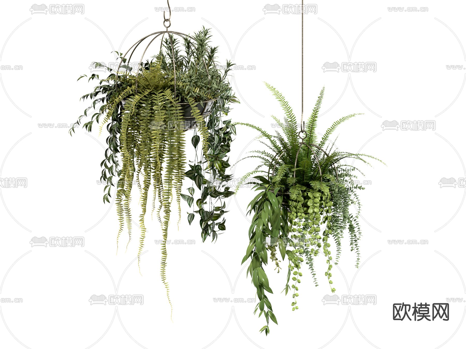 吊兰 吊篮 吊挂绿植3d模型下载