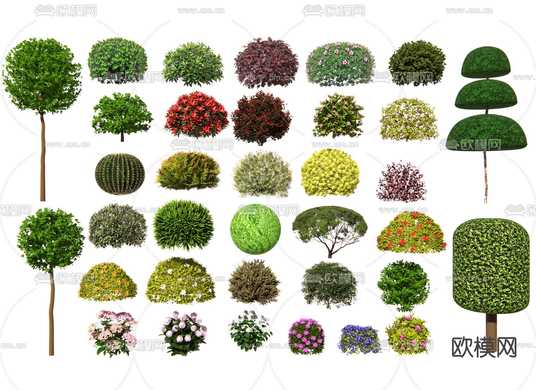 灌木球 造型灌木 灌木丛3d模型下载