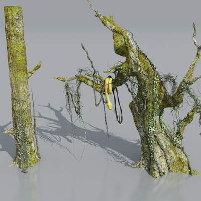  枯树 古树 树根 蛇 大乔木su模型 