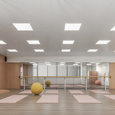  现代舞蹈教室 瑜伽室su模型 