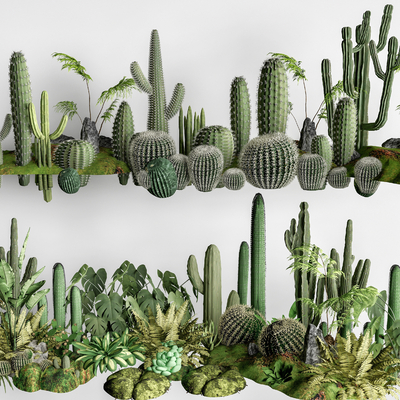  仙人掌 多肉植物 仙人球 灌木su模型 