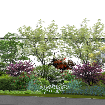  景观树 乔木灌木 绿篱草丛 灌木丛su模型 