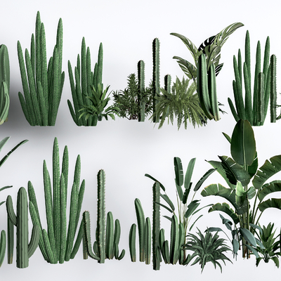  仙人掌 多肉植物 仙人球 灌木su模型 