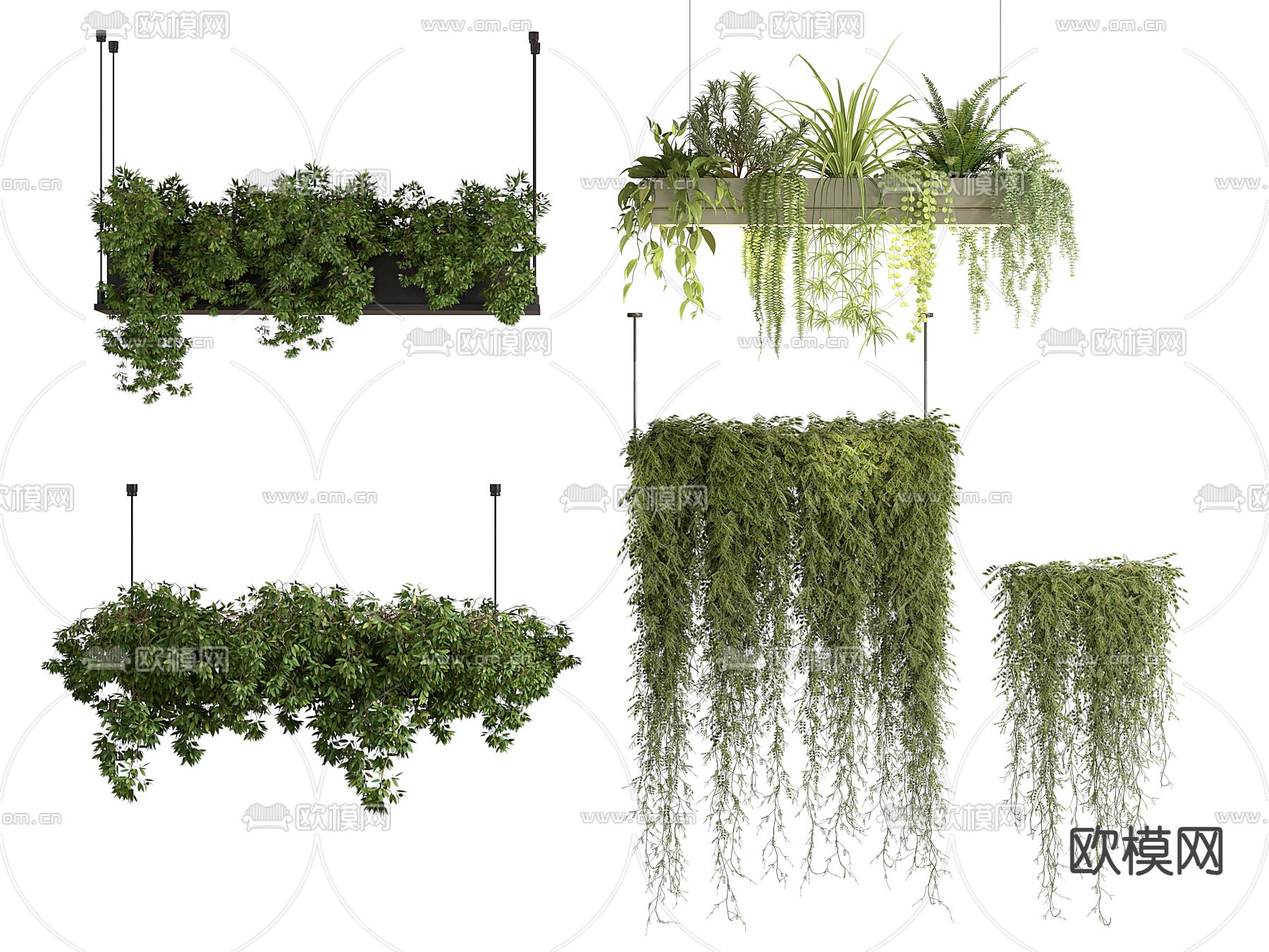 吊篮 盆栽 吊挂植物 爬墙虎3d模型下载
