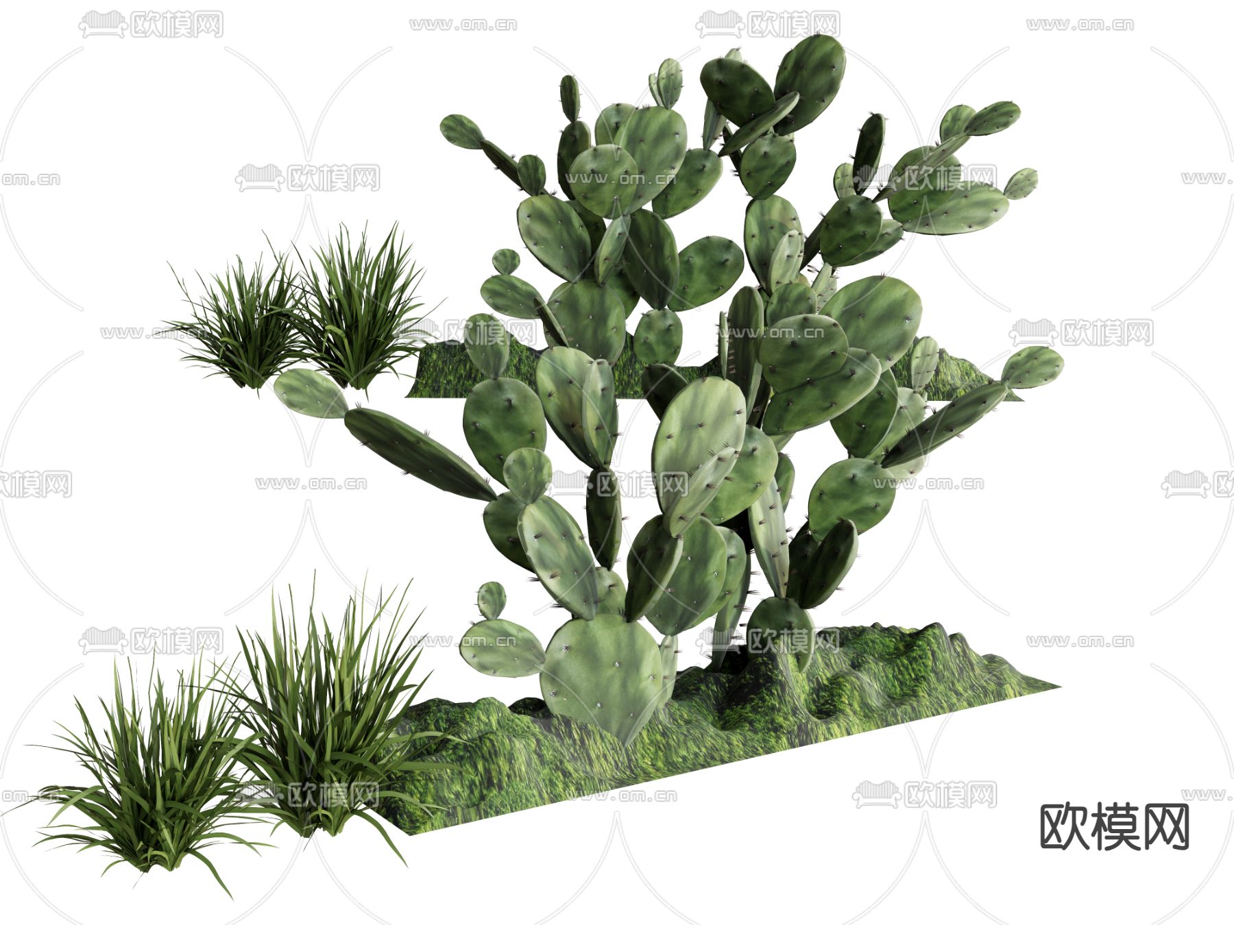 仙人掌 热带植物 灌木丛su模型下载（渲染图1）