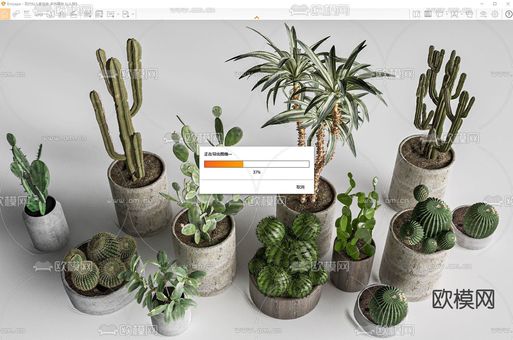 仙人掌 多肉植物 仙人球 灌木su模型下载（渲染图3）