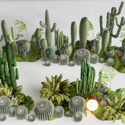  仙人掌 多肉植物 仙人球 灌木su模型 