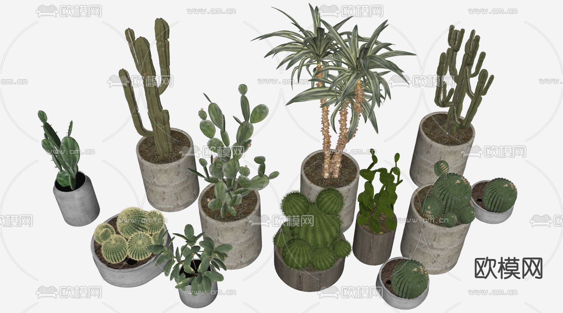 仙人掌 多肉植物 仙人球 灌木su模型下载（渲染图2）