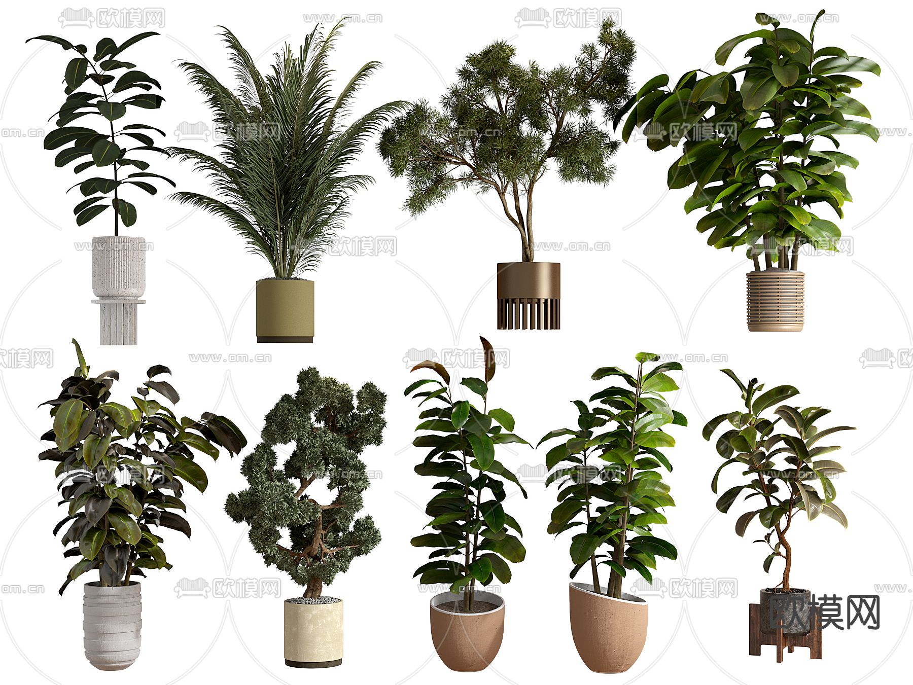盆栽 盆景 绿植3d模型下载