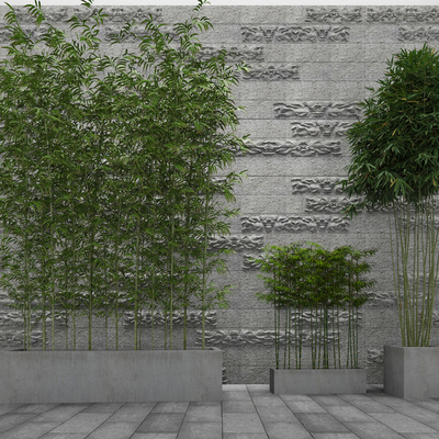  庭院竹子 景观竹su模型 