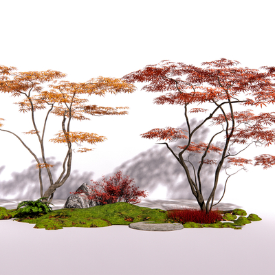  红枫鸡爪槭su模型 