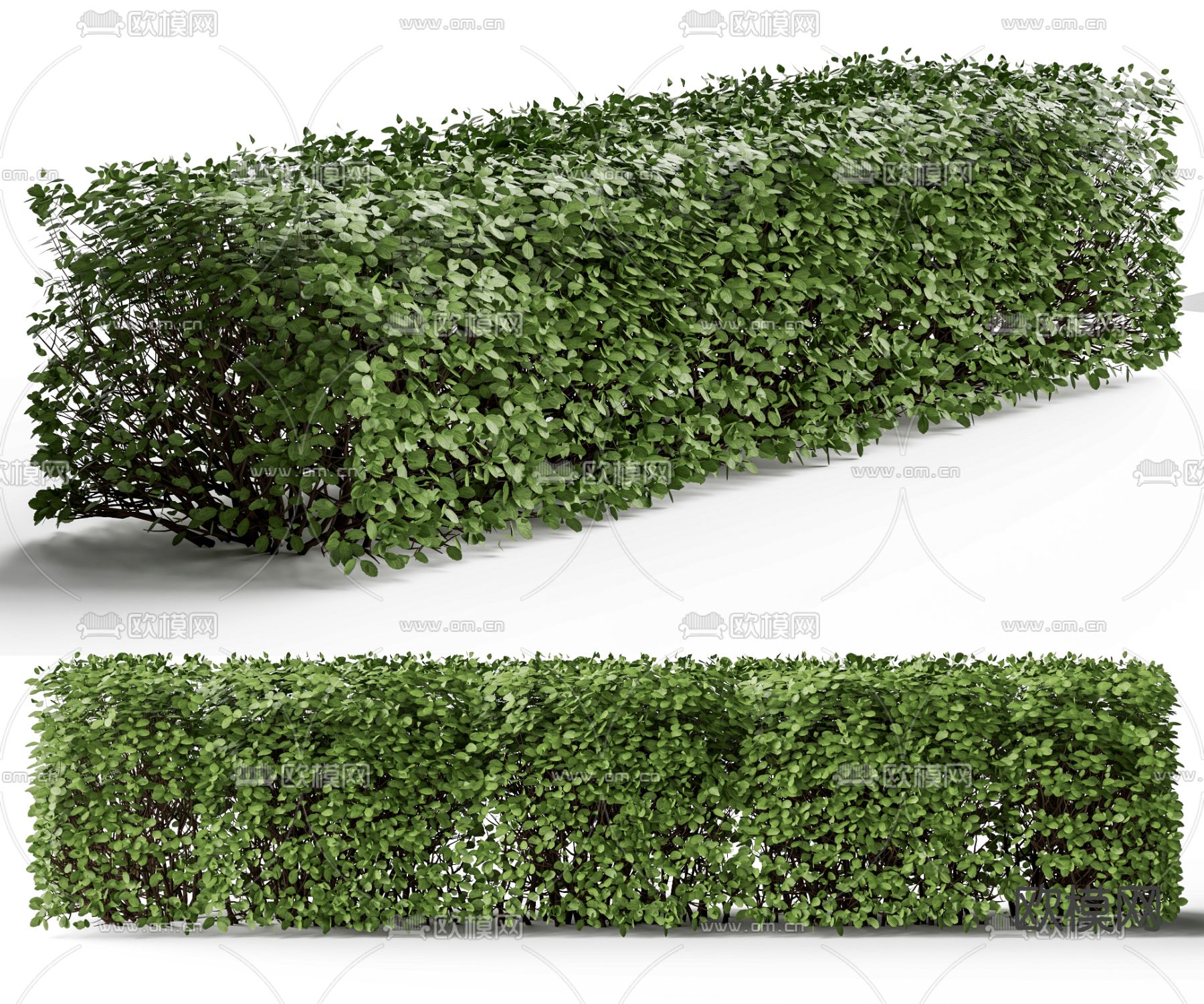 绿植墙 灌木墙su模型下载（渲染图2）