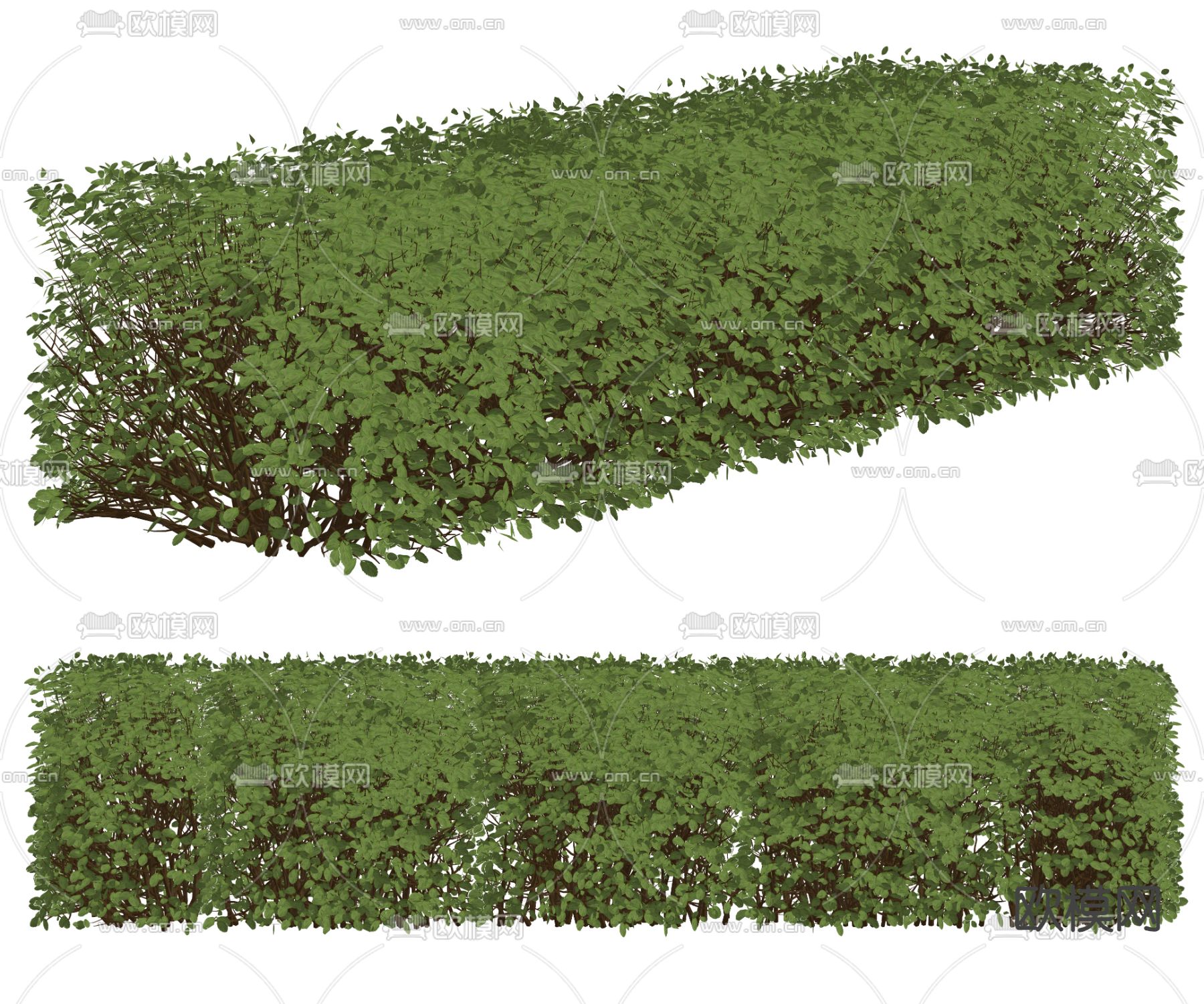绿植墙 灌木墙su模型下载（渲染图1）