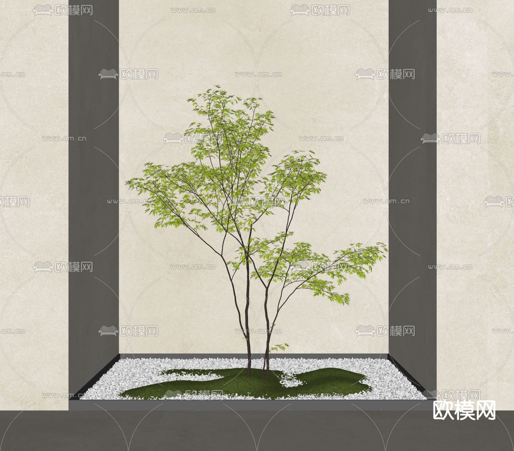 乔木绿植 景观乔木su模型下载（渲染图1）