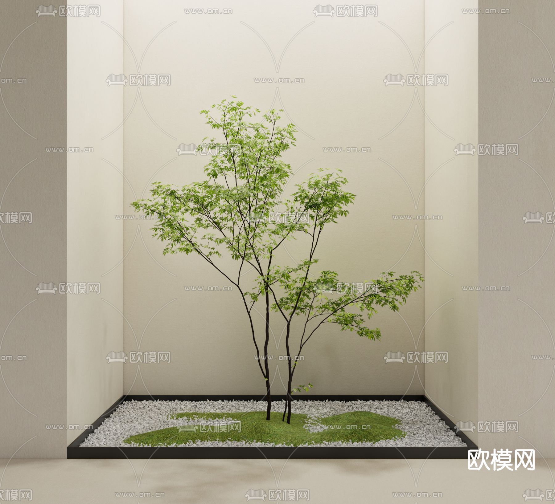 乔木绿植 景观乔木su模型下载（渲染图2）