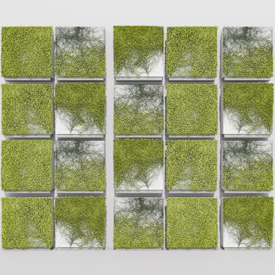  藤蔓绿植墙 爬墙爬山虎su模型 