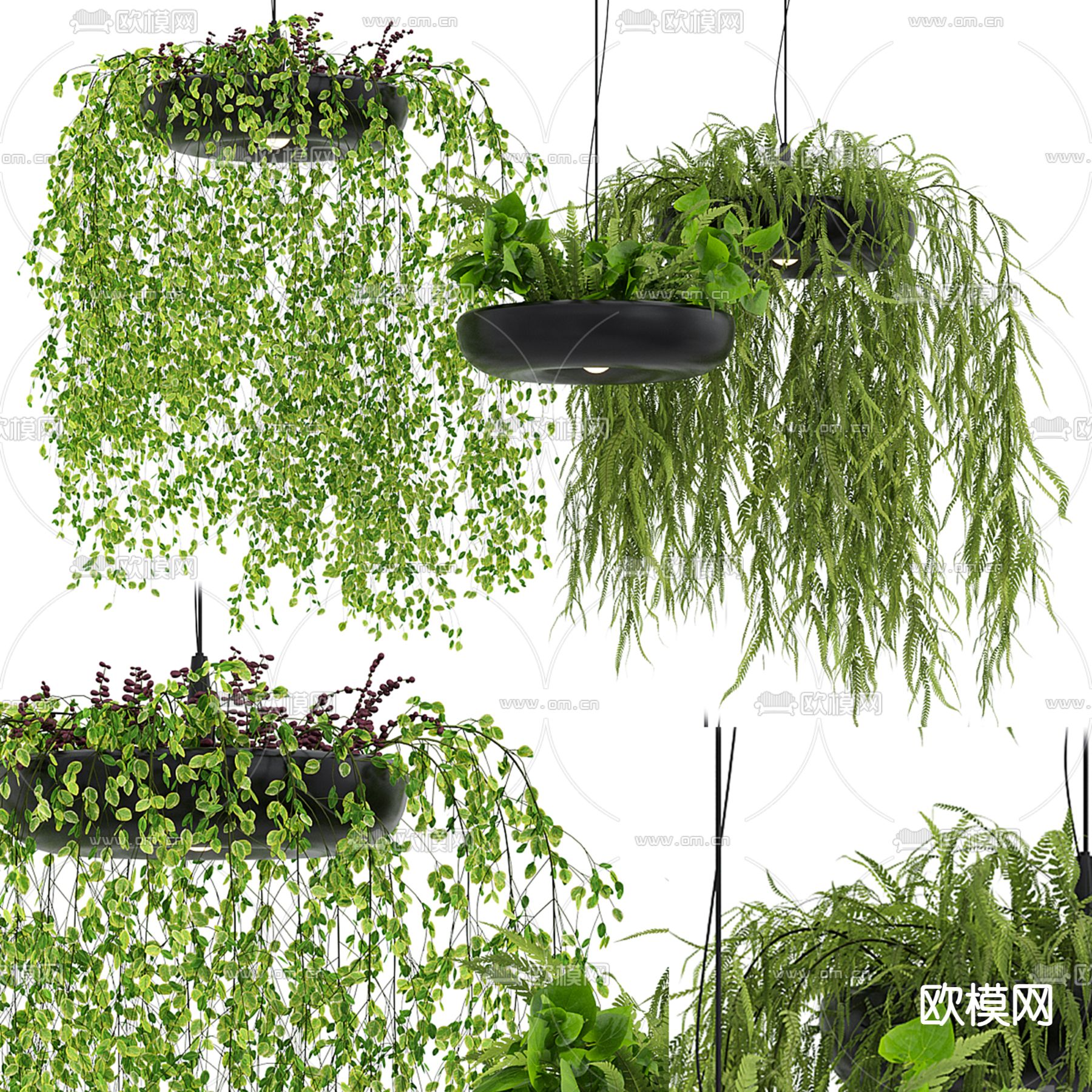 吊篮 吊兰 盆栽 吊挂绿植3d模型下载