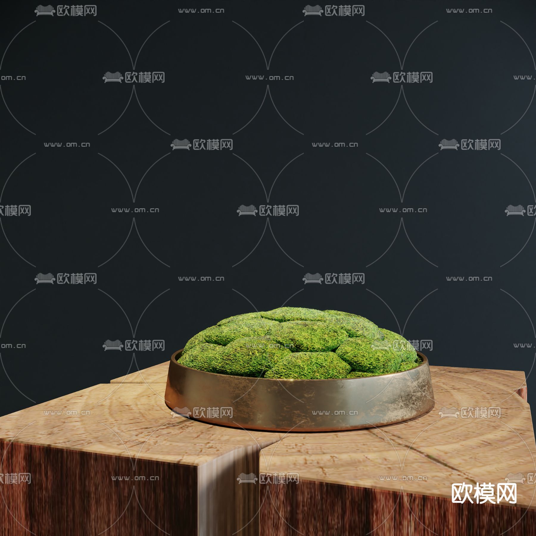 苔藓盆栽 盆景3d模型下载